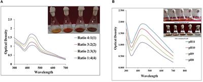 Biogenic synthesis, characterization, and evaluation of synthesized nanoparticles against the pathogenic fungus Alternaria solani